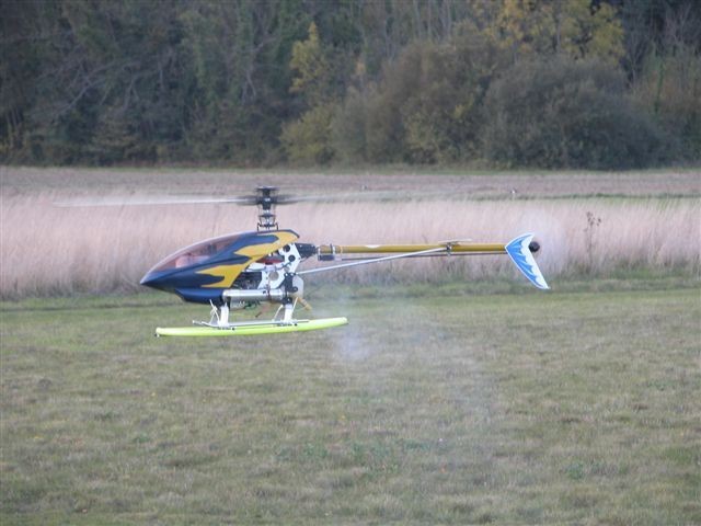 helico2 DSCN0008
