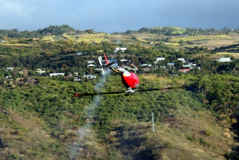 IMG 08323
