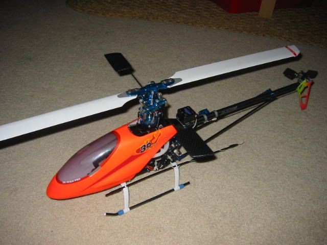 IMG 3100