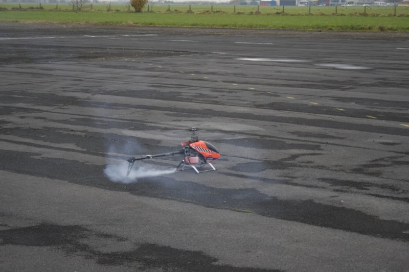 IMG 3558