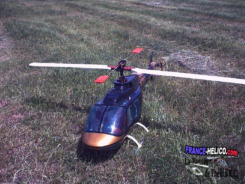 jeanmarie-h starranger2