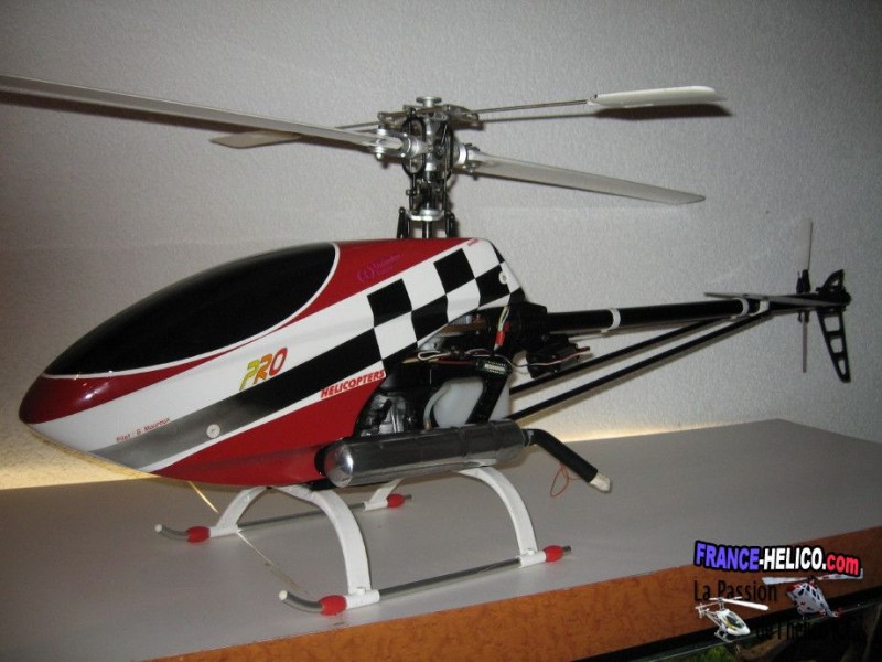 Jivaro IMG 2215 1 1