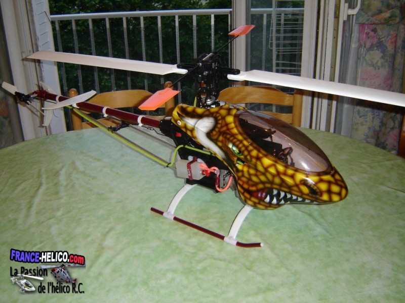 letroll Photo 011