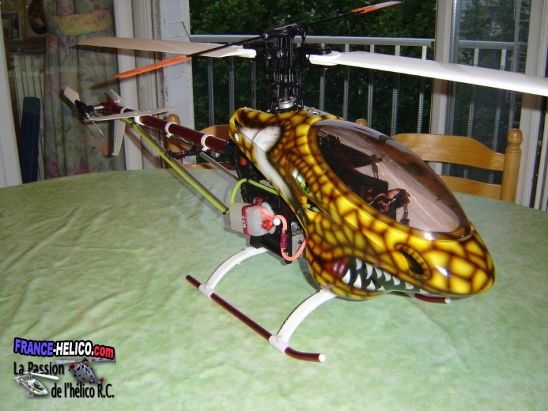 letroll Photo 012
