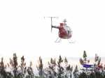 marde974 Hughes 500D funkey raptor50 019 FH