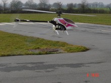 mon raptor