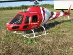 normal Ecureuil AS355N (Trex600nPro) - 9