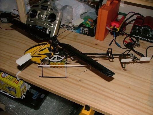 normal Hornet 002