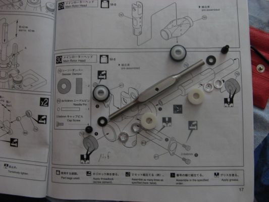normal IMG 0390