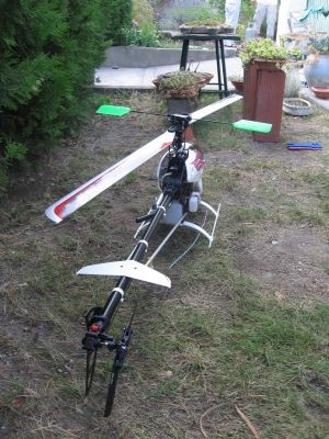 normal IMG 1840