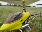 normal Raptor 3