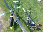 normal raptor4014