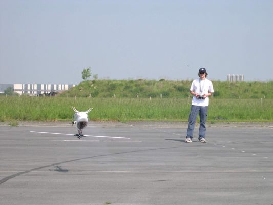 normal raptor~2
