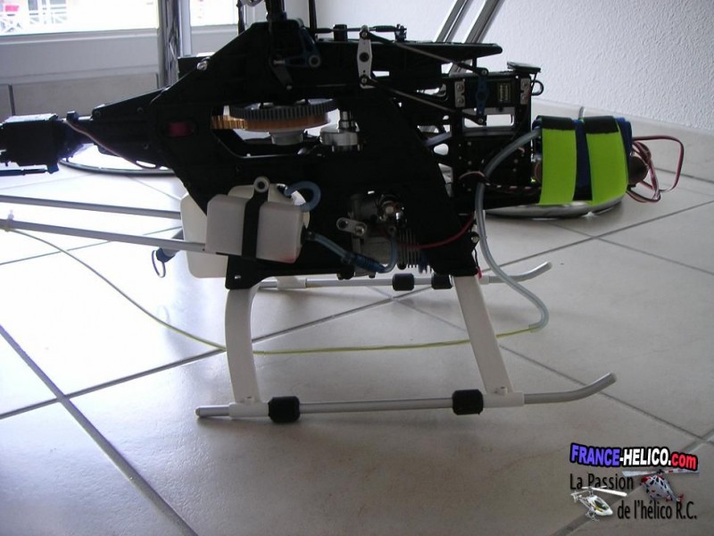NUS Newcanopy (3)~0