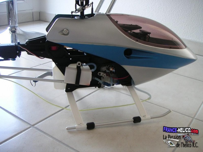 NUS Newcanopy (4)~0