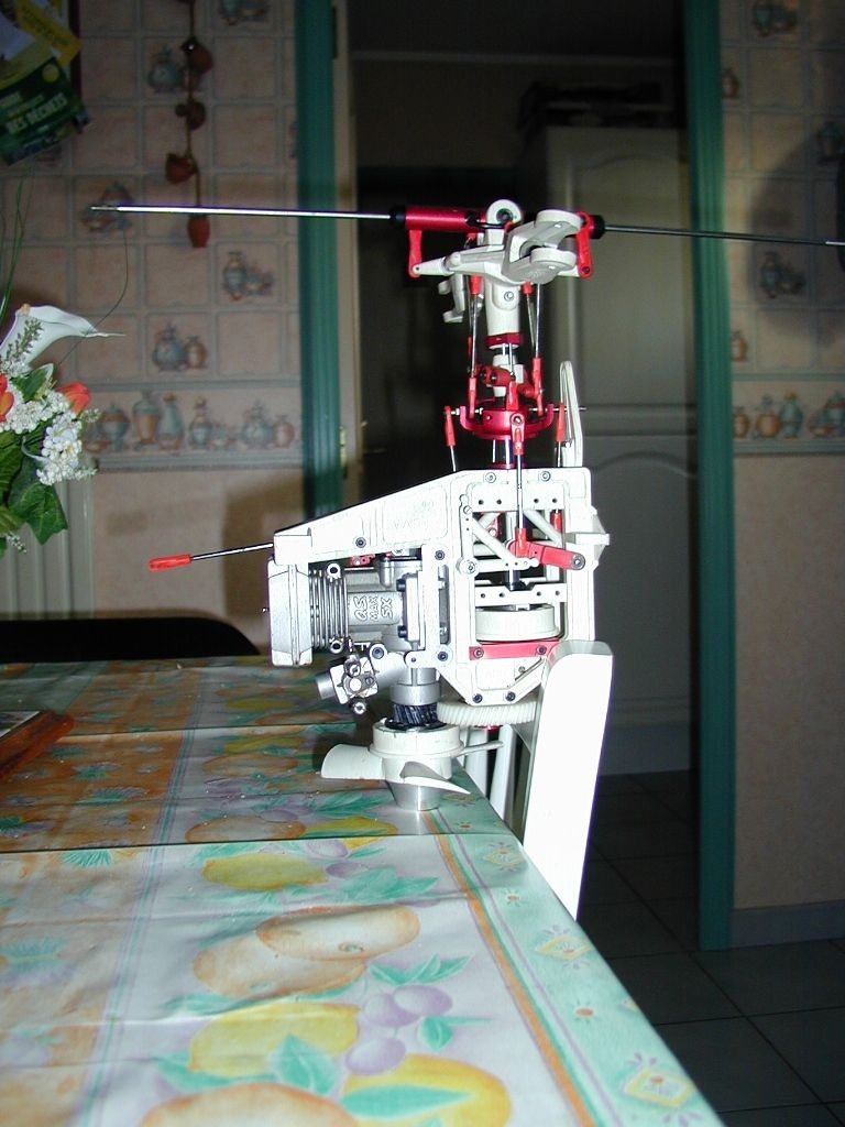 P1010247