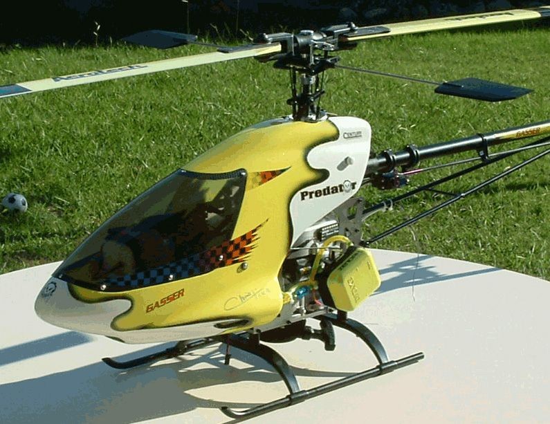 papiapo Predator