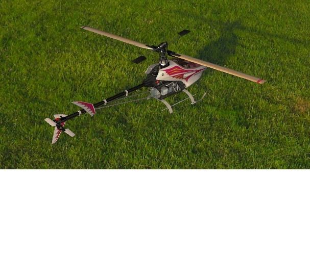 XTR-Reflex