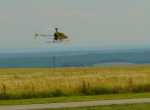 vautour-fauve Mosquito 01 web