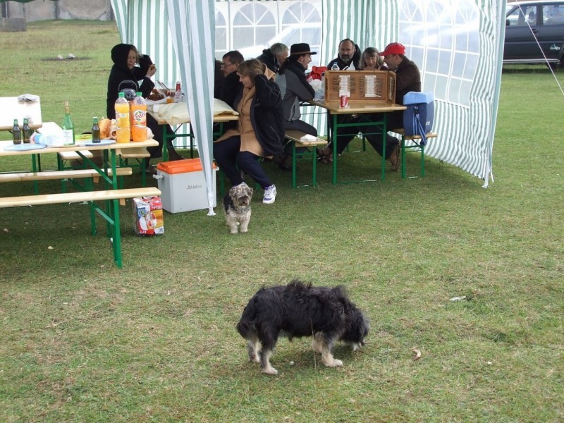 roploy 2006 1015commercy0007