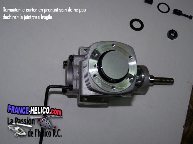 steph73 18 Demon carter