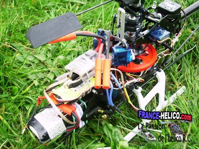 pict0335dl5