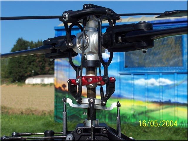 pierrotscorpion raptorpierrotf