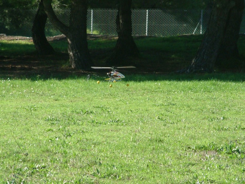 pitou photos122008 410