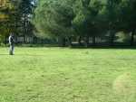 pitou photos122008 414