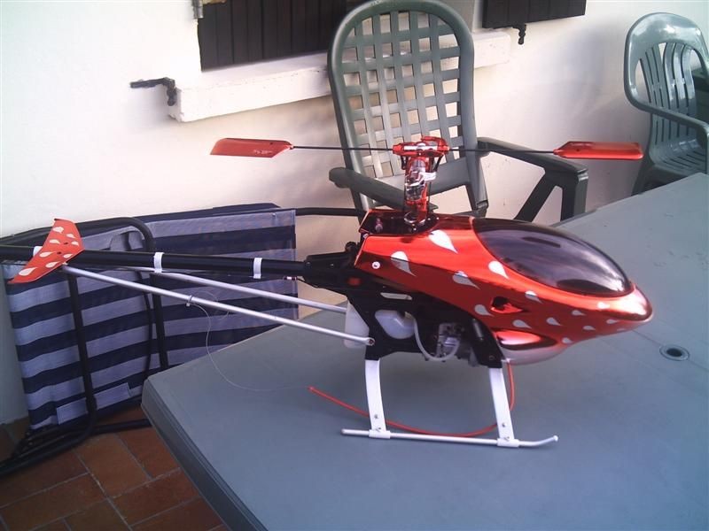ptitrott PHTO0009 (Medium)