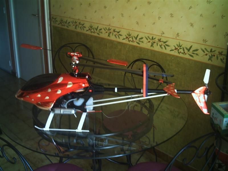 ptitrott PHTO0011 (Medium)