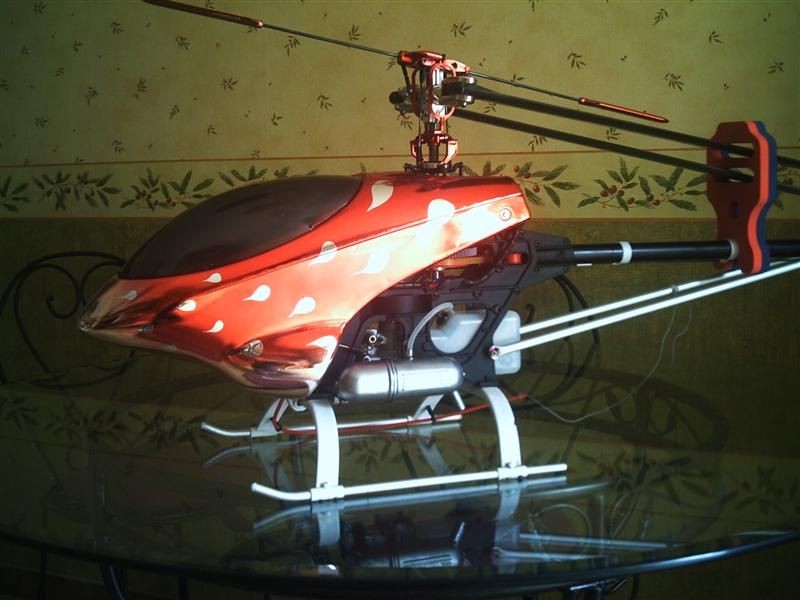 ptitrott PHTO0012 (Medium)