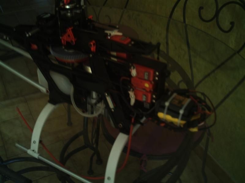 ptitrott PHTO0016 (Medium)