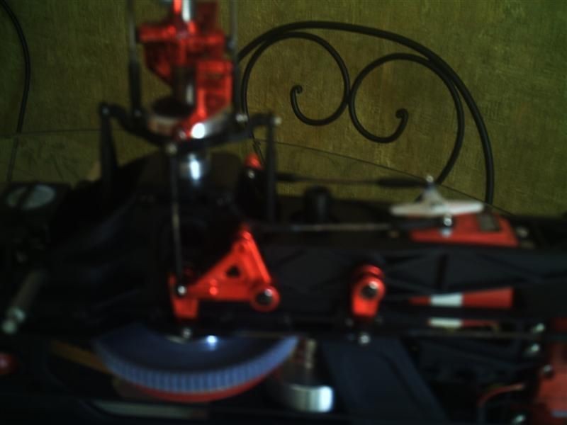 ptitrott PHTO0017 (Medium)