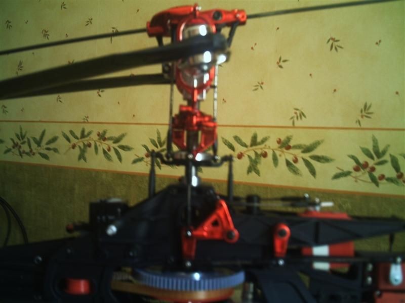 ptitrott PHTO0018 (Medium)