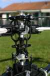 RAPTOR--Cyclique