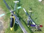 raptor4014