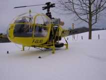 montage lama( 2  ) 070