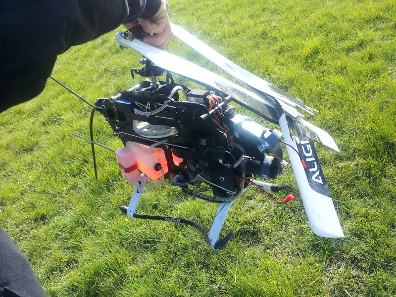 T-rex 600 nitro crash