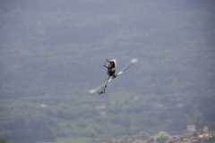 IMG 4335