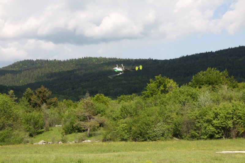 IMG 4512