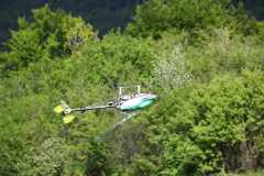IMG 4566