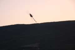 IMG 5175