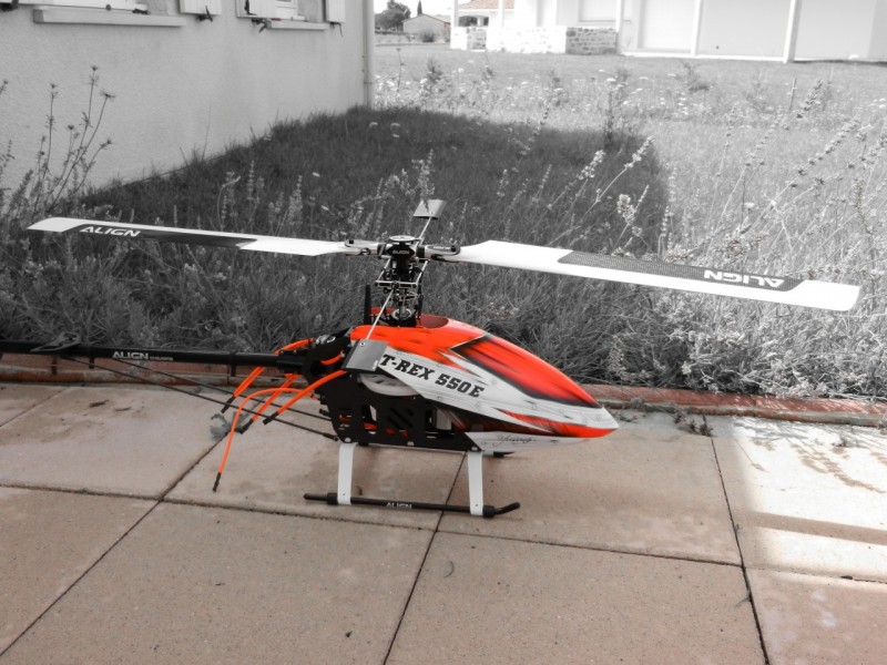 DSCN0135