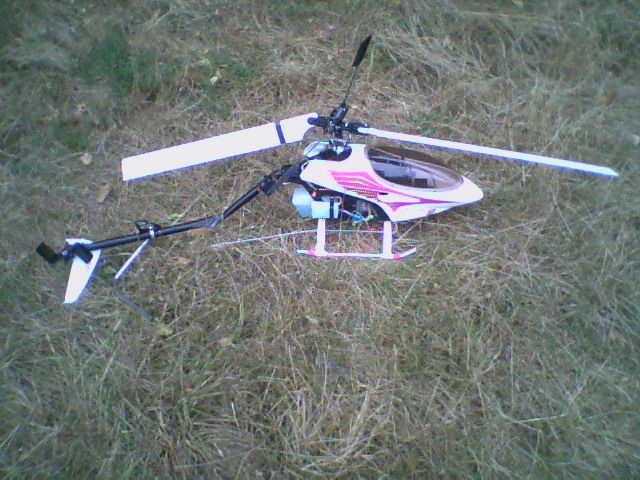 raptor crash 1 (1)